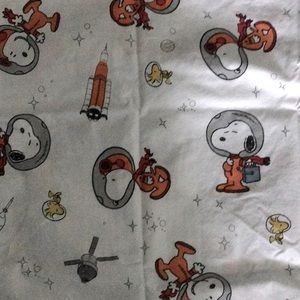 Pottery Barn Peanuts Snoopy twin sheet set